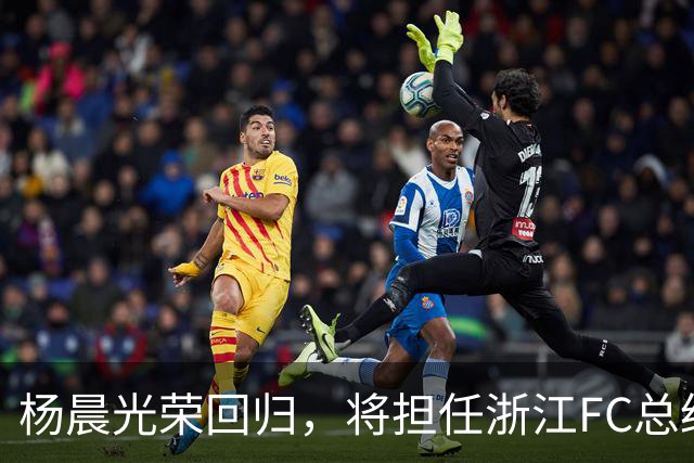杨晨光荣回归，将担任浙江FC总经理一职